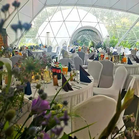 4 Zywioly Falenty Osrodek Konferencyjno-szkoleniowy Bed & Breakfast