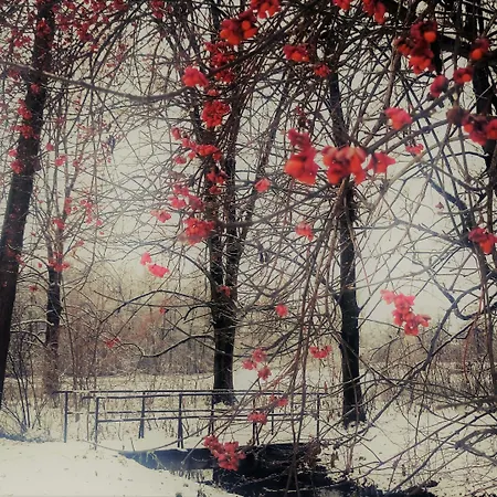 4 Zywioly Falenty Centrum Konferencyjne Frühstückspension Raszyn