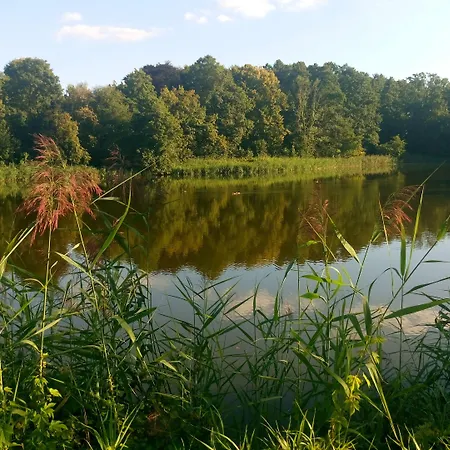 Panzió 4 Zywioly Falenty Centrum Konferencyjne 3*