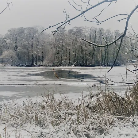 Frühstückspension 4 Zywioly Falenty Centrum Konferencyjne Raszyn