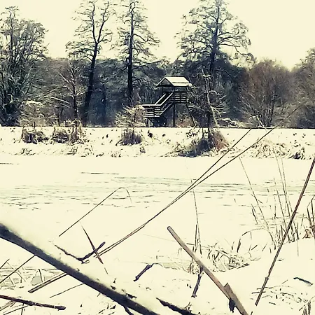 Frühstückspension 4 Zywioly Falenty Centrum Konferencyjne