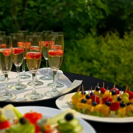 Panzió 4 Zywioly Falenty Centrum Konferencyjne 3*