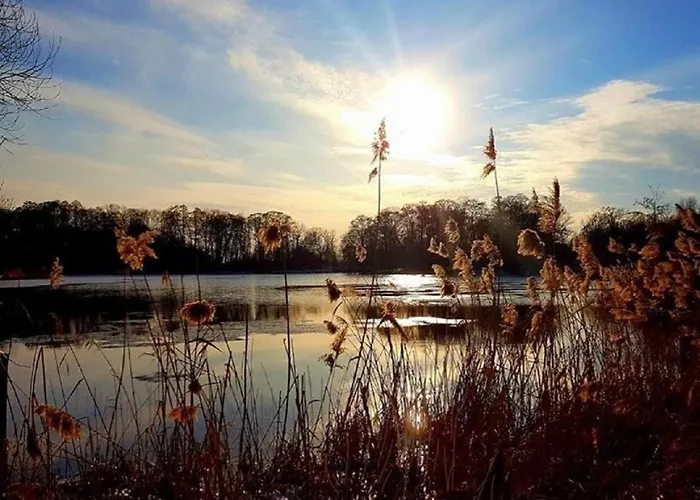 4 Zywioly Falenty Centrum Konferencyjne