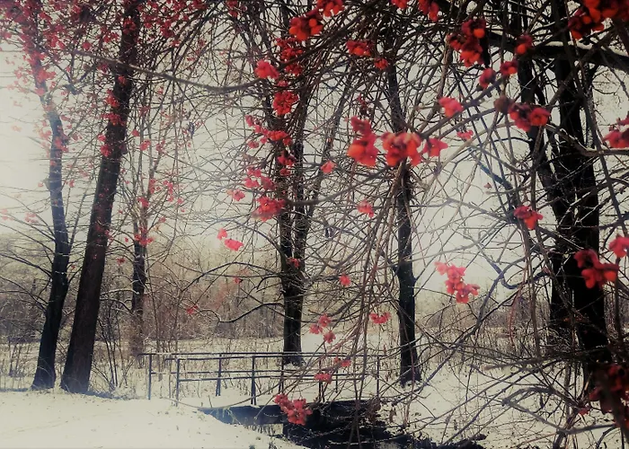 4 Zywioly Falenty Centrum Konferencyjne Panzió Raszyn