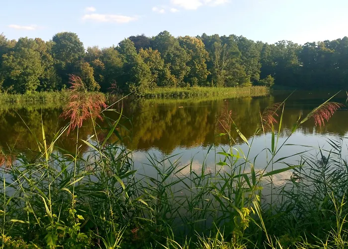 Bed & Breakfast 4 Zywioly Falenty Centrum Konferencyjne 3*