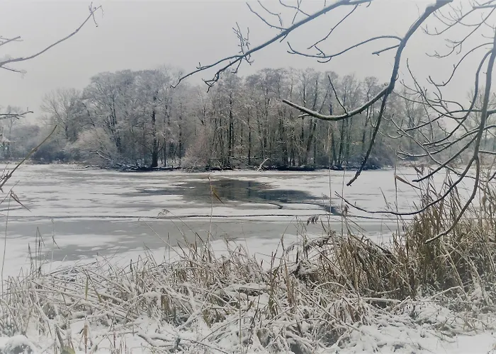 Bed & Breakfast 4 Zywioly Falenty Centrum Konferencyjne Raszyn