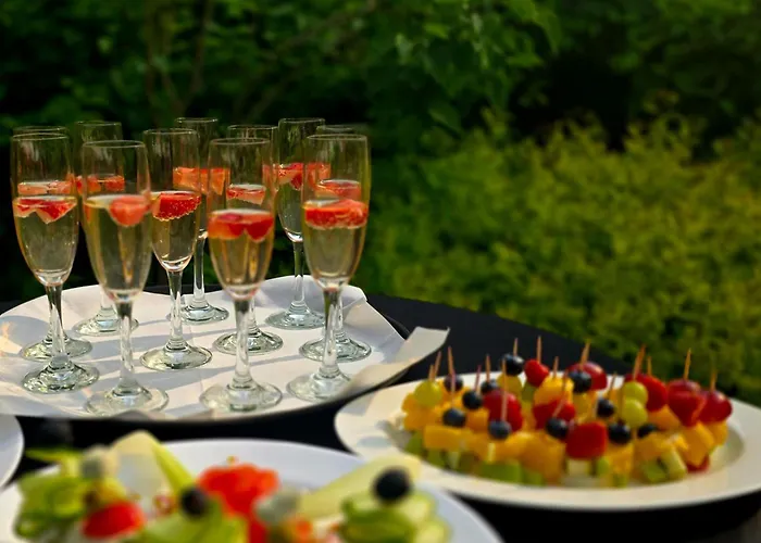 Panzió 4 Zywioly Falenty Centrum Konferencyjne 3*